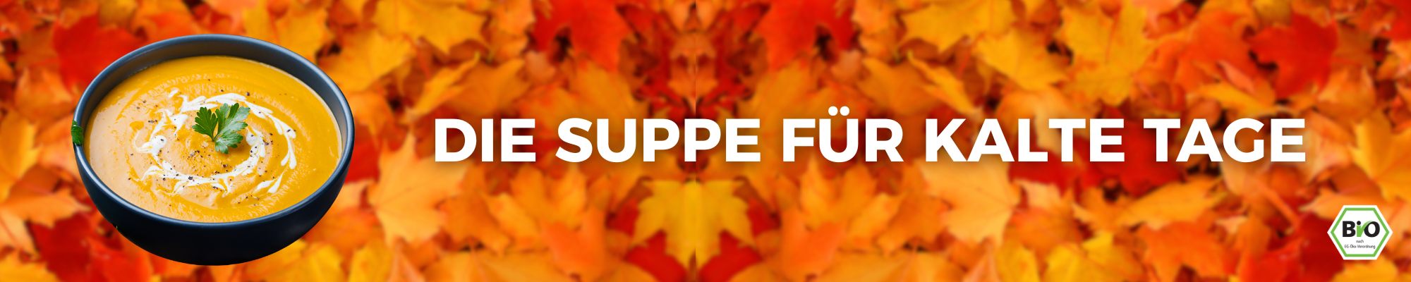 Kürbissuppe Banner